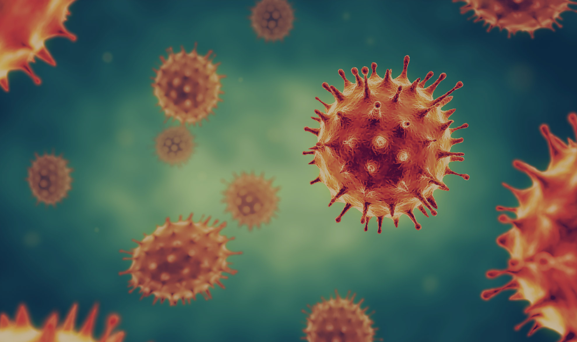 coronavirus